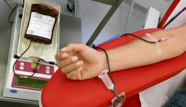 DONA SANGRE